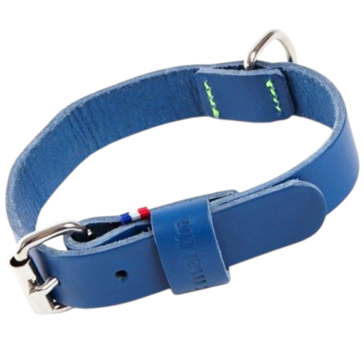 Collier en cuir pleine fleur Bleu  - MARTIN SELLIER