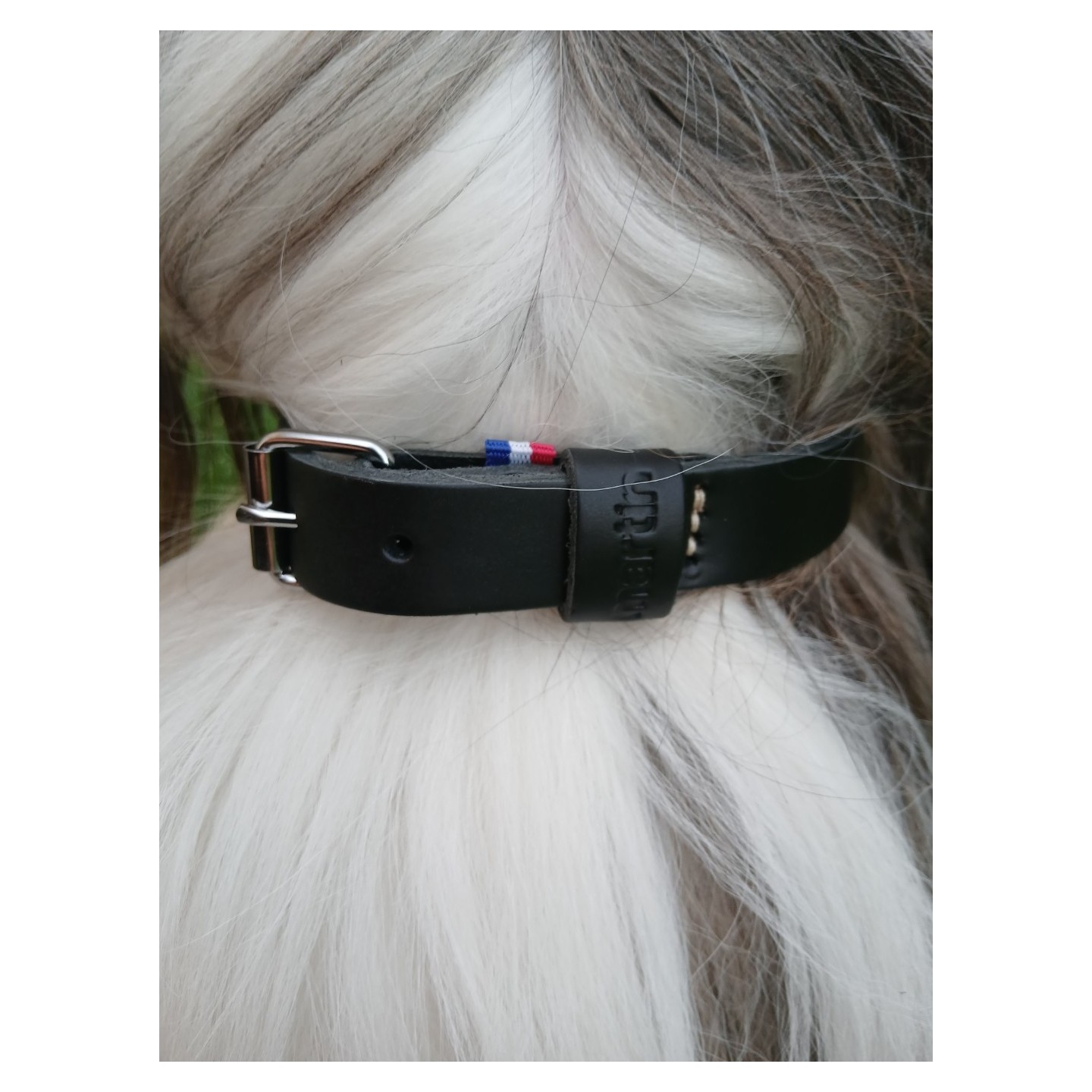 Collier en cuir pleine fleur  Noir - MARTIN SELLIER