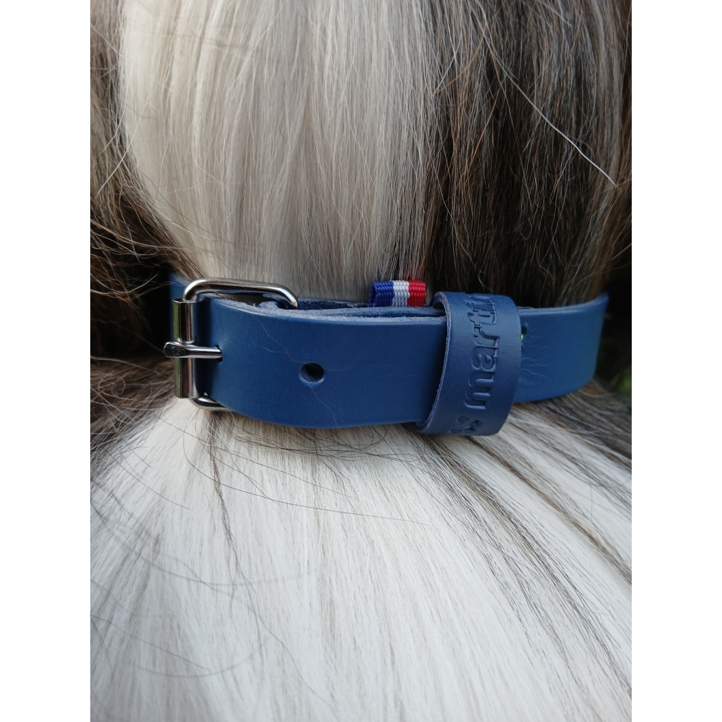 Collier en cuir pleine fleur Bleu  - MARTIN SELLIER