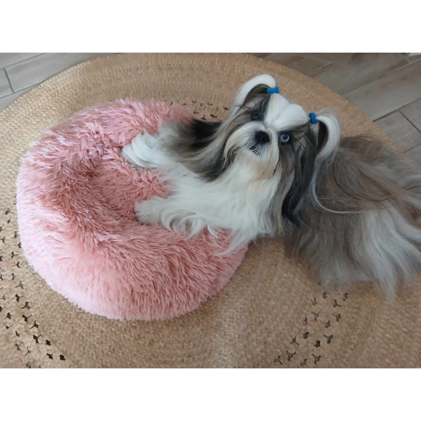 Coussin donut  rose - DOOGY