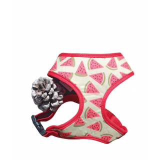 Harnais motif Pastèques   - DOOGY