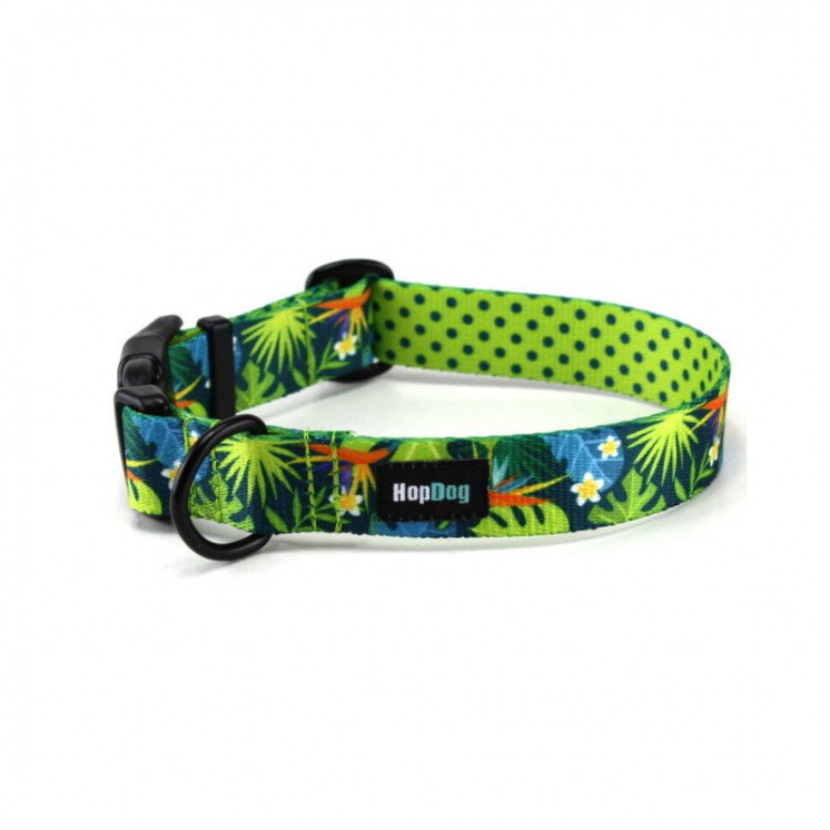Ensemble Collier   TROPIC TIME  avec sa  laisse de 1,40m (made in France)