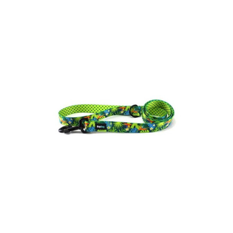 Ensemble Collier   TROPIC TIME  avec sa  laisse de 1,40m (made in France)
