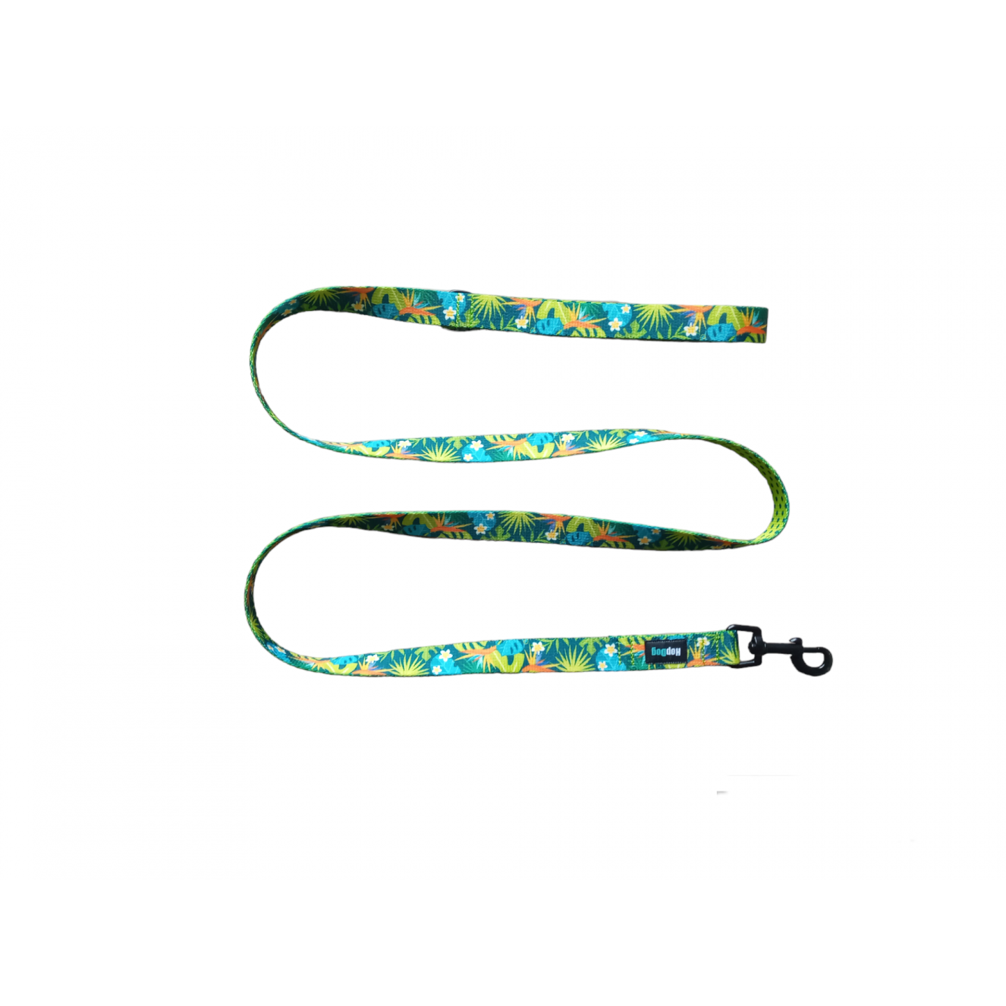 Ensemble Collier   TROPIC TIME  avec sa  laisse de 1,40m (made in France)