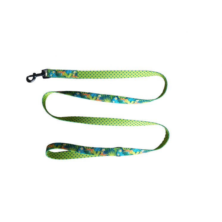 Ensemble Collier   TROPIC TIME  avec sa  laisse de 1,40m (made in France)
