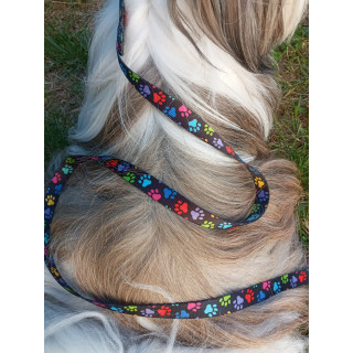 Ensemble collier POW WOW avec sa laisse  1,40 m