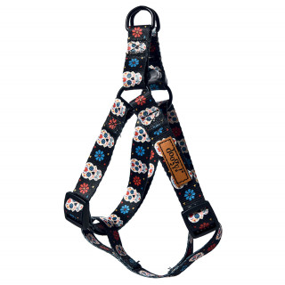 Harnais & Laisse  Dia de Muertos - DOOGY
