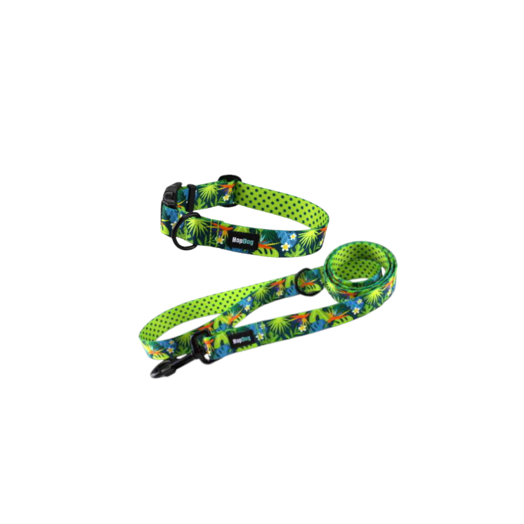 Ensemble Collier   TROPIC TIME  avec sa  laisse de 1,40m (made in France)