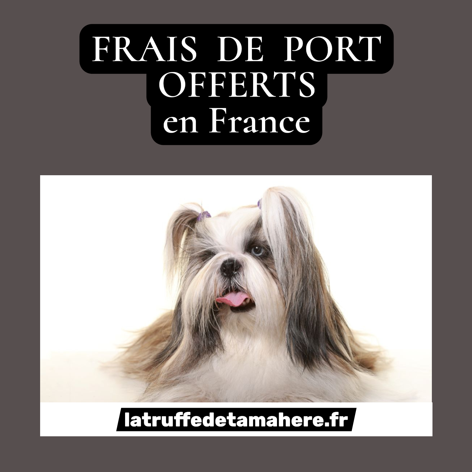 FRAIS DE PORT OFFERTS  en France